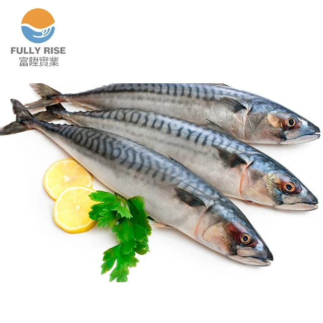 冷冻太平洋鲭鱼,市场价格冷冻海鲜 - buy frozen pacific mackerel