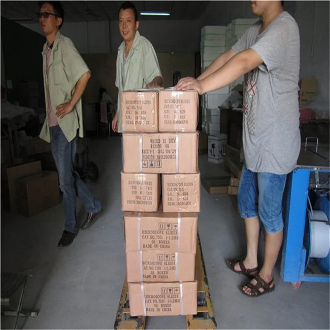 Медицинская научная модель человеческого заболевания печени медицинская обучающая для обучающего оборудования Обучающие ресурсы