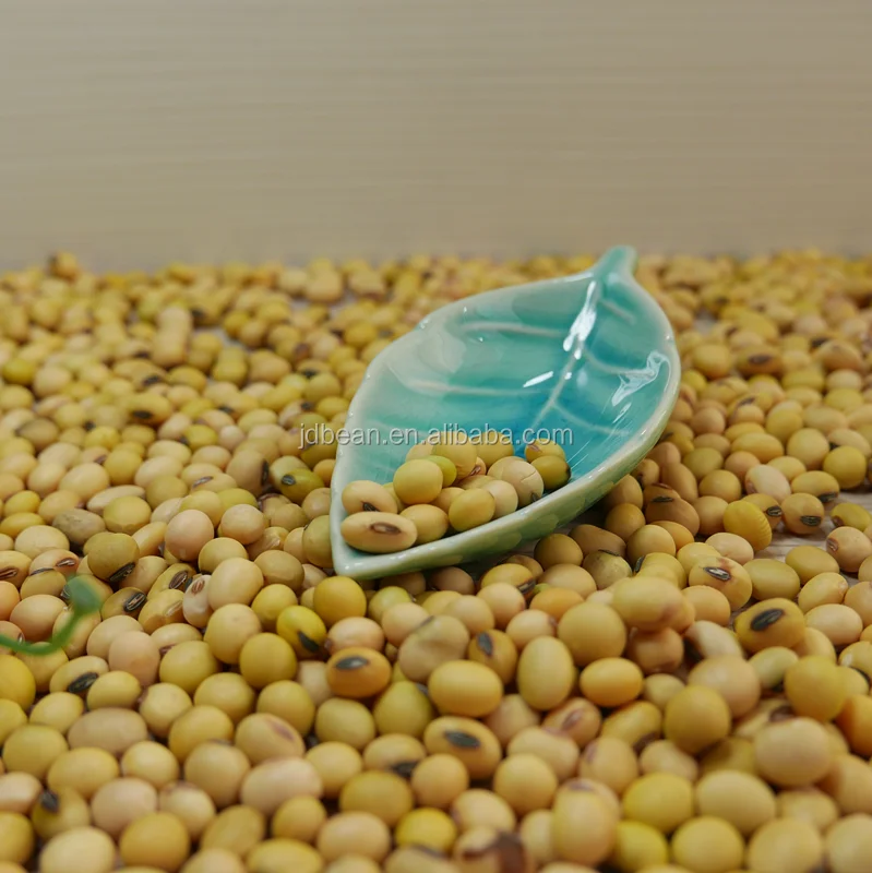 2023 Crop Chinese High Protein Soya En Grano Yellow Soybean Soya Beans