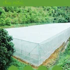HDPE anti insect net,aphid proof netting,insect proof net for greenhouse