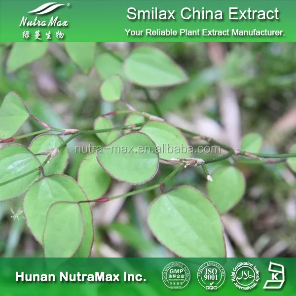 Pure Sarsaparilla Extract Sarsaparilla Root Extract Sarsaparilla Powder Buy Sarsaparilla Extract Sarsaparilla Root Extract Sarsaparilla Powder Product On Alibaba Com