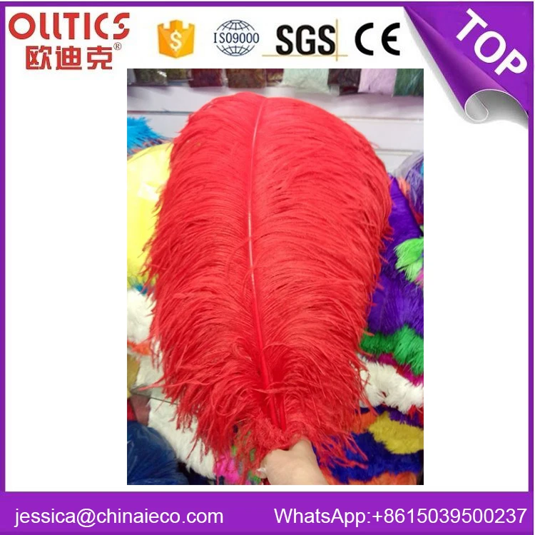カーニバル衣装 レッド フェザー 純正ダチョウ羽 カーニバル衣装 レッド フェザー 純正ダチョウ羽