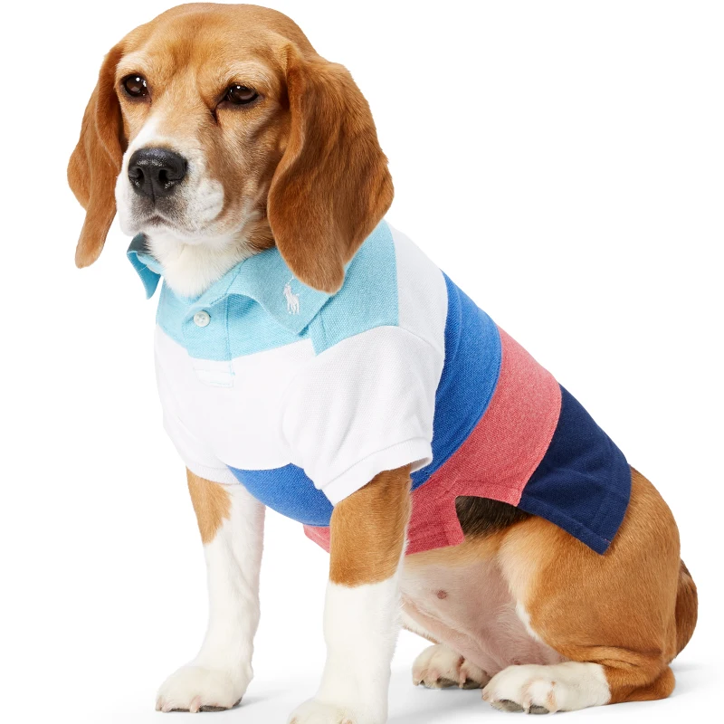 Dog clothing SUPERMAN - 2800000162 