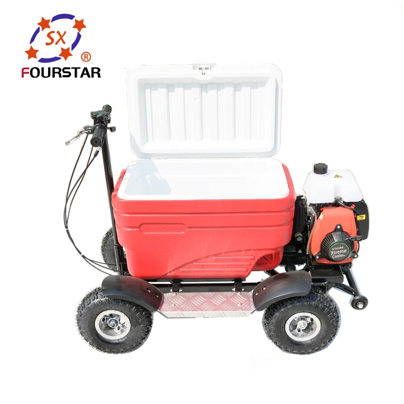 Professional Factory Outlet Gasoline Food Keeper Camping Using Motorized Cooler Scooter