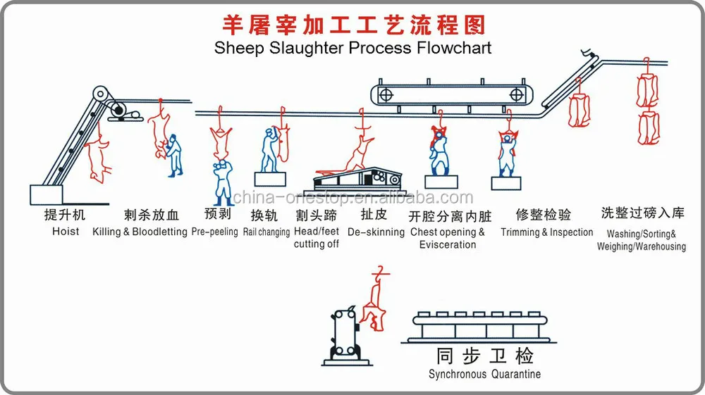 Complete sheep and goat slaughtering line equipment - efficient processing systems for meat factories and modern slaughterhouses