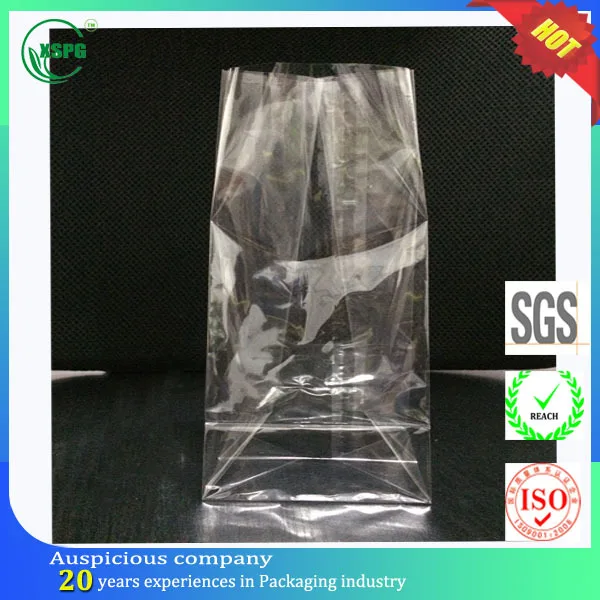 small clear plastic tote bolsas