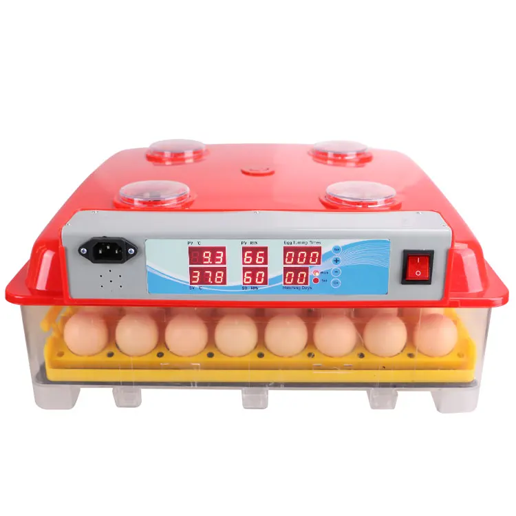 Автоматический инкубатор 12 яиц. Mini Egg incubator на 12 яиц. Мини инкубатор с короной. OZON интернет магазин каталог инкубатор wq55. Купить тестер для яиц.