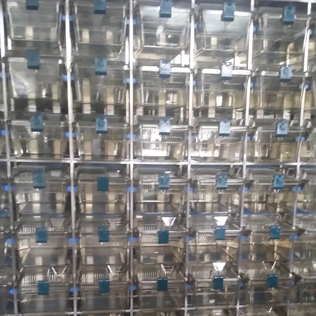 Lab Animal Equipment Touchscreen Control Individually Ventilated System Mouse Rat Breeding Cage (ivc Rack)