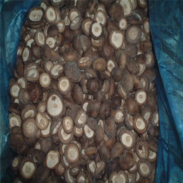 Export Top Grade IQF Frozen Shiitake Mushroom With Competitive Price