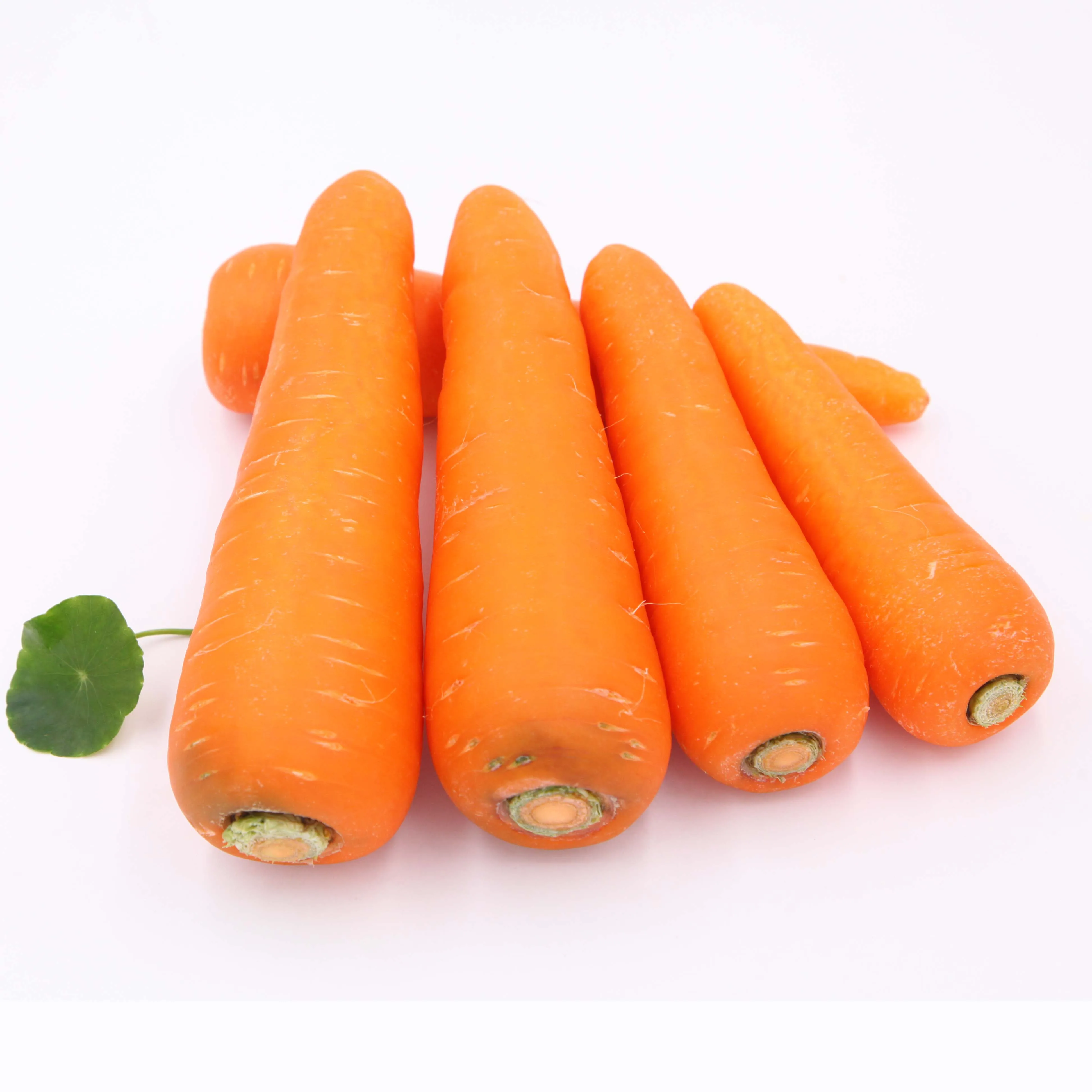 Купить морковь оптом. М морковь. Китайская морковка. Морковь фулл хд. Сабзи1 шт.