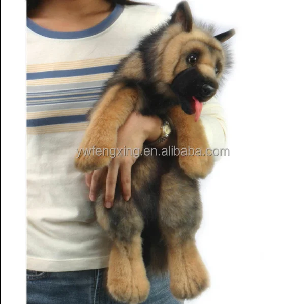 are german shepherd cuddly