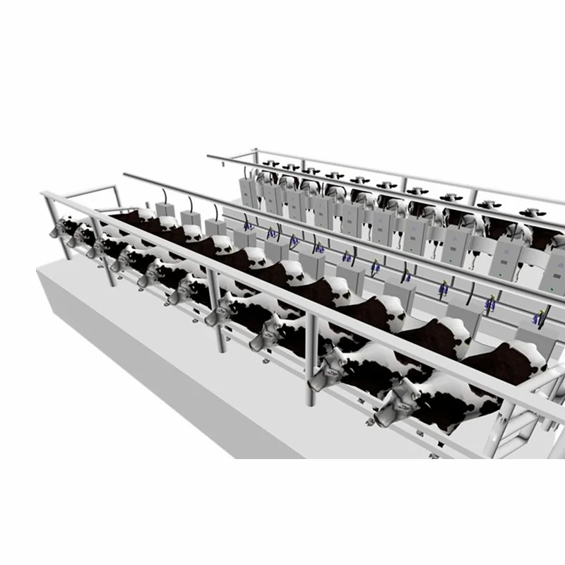 Hot Sale Automatic Milking System Cow