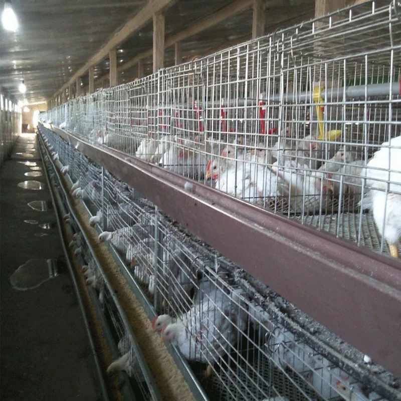 Fully Automatic a Frame Cheap Price Chicken Layer Cage Battery Cage Laying Hens