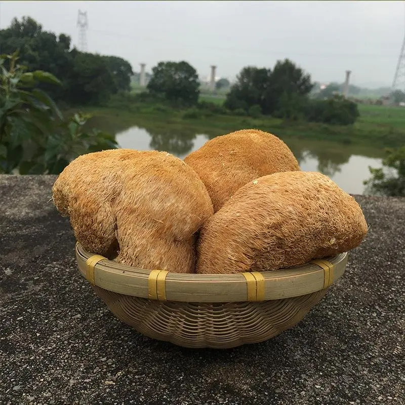 Сушеный гриб Detan с головой обезьяны