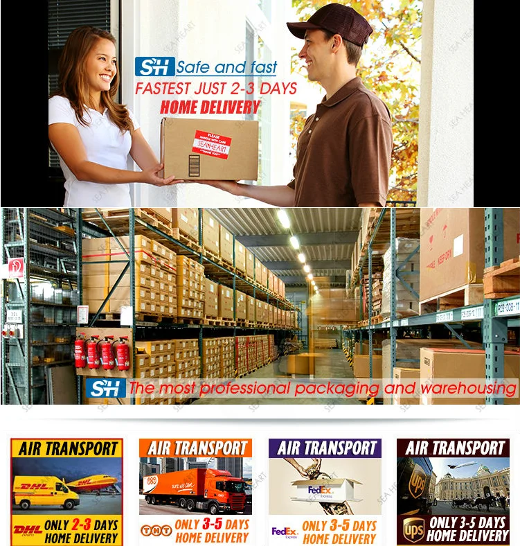 2021 Hydra Beauty Skin System Diamond Peel Dermabrasion 9 In 1/10 In 1