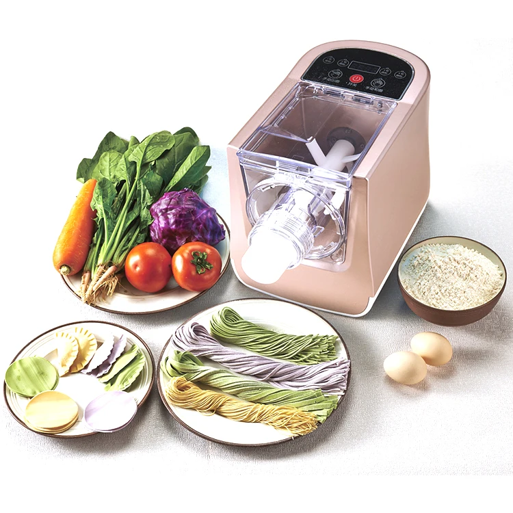 300w Electric Plastic Fresh Vegetable Pasta Noodle Maker Noodles Making Machine Automatic