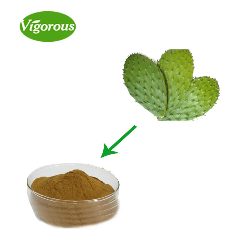 опунция препараты. лекарства из опунции. плоды опунции экстракт. экстракт опунции. экстракт кактуса.