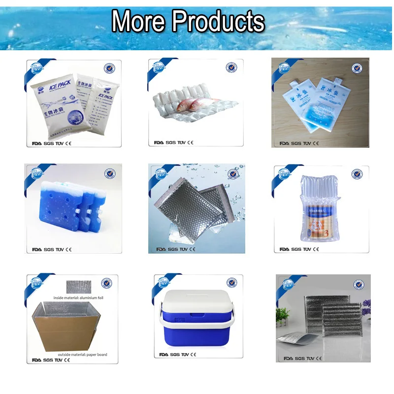 ice pack for cake/air cooler with ice pack