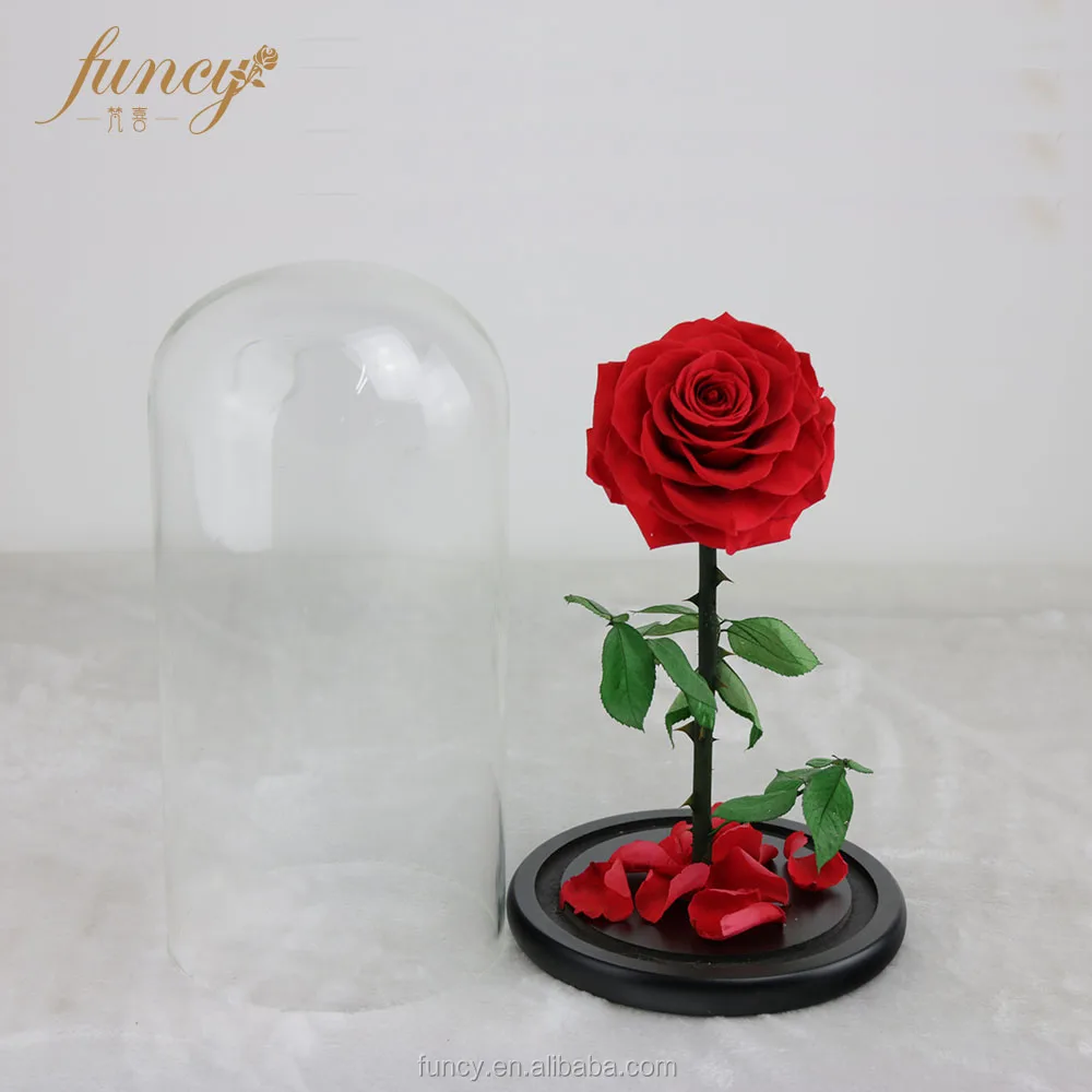 Rosa colorata con fiori artificiali, rose colorate permanentemente conservate in vetro a cupola, San Valentino, festa della nascita, anniversario, regali di Natale a sorpresa