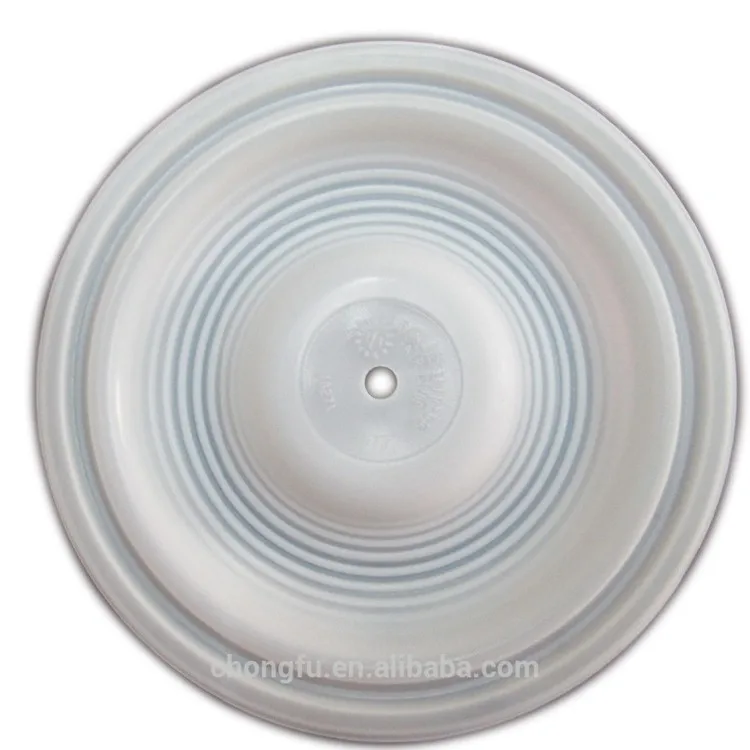 02-1010-55 PTFE diaphragm