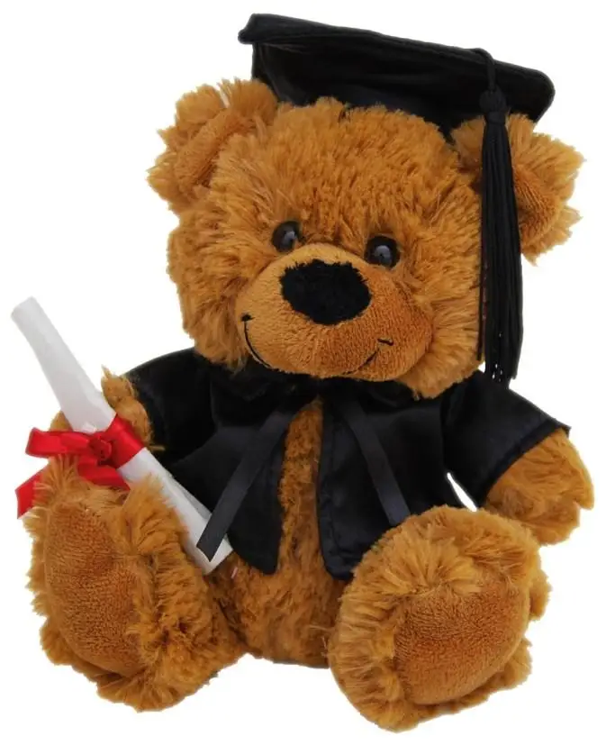 cute graduation plush