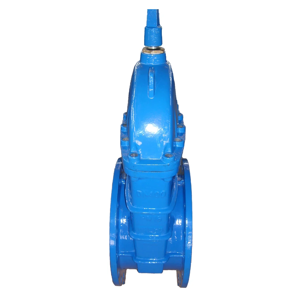 Resilient Seated DN400 Gate Valve Ductile Iron Body for Water OEM China Factory Competitive Price