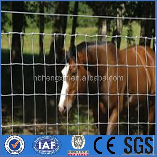Field Fence Hog Wire Hot Galvanized Goat Farming Fen