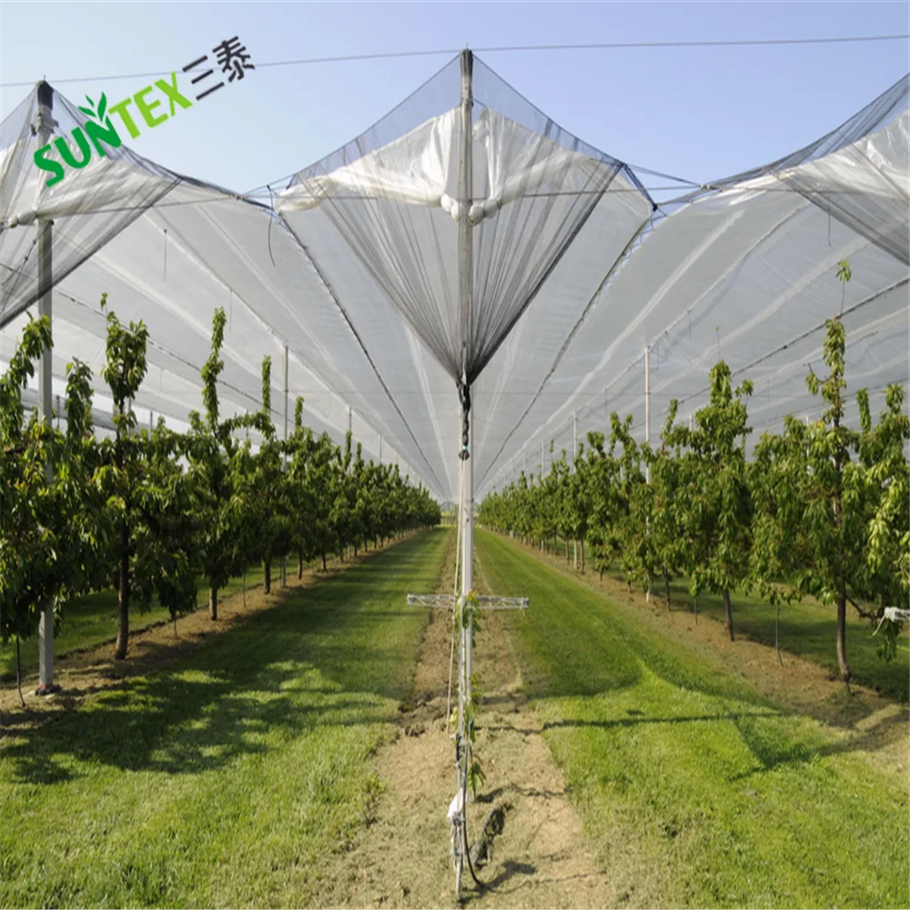 Filet Anti-Grêle Et Anti-Oiseaux Pour Jardin 6x6m - Polyéthylène Résistant - Protection Potager Et Arbres Fruitiers