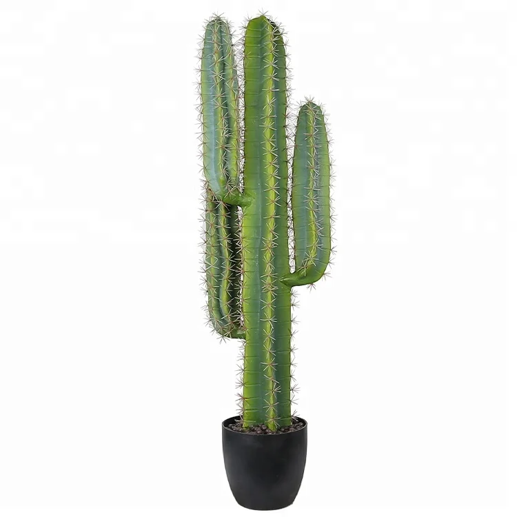 Voiture tableau de bord ornement mignon plante verte Cactus petit