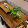 Colore Teak