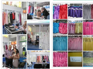 Suzhou Zhongsheng Dress Company Limited 3