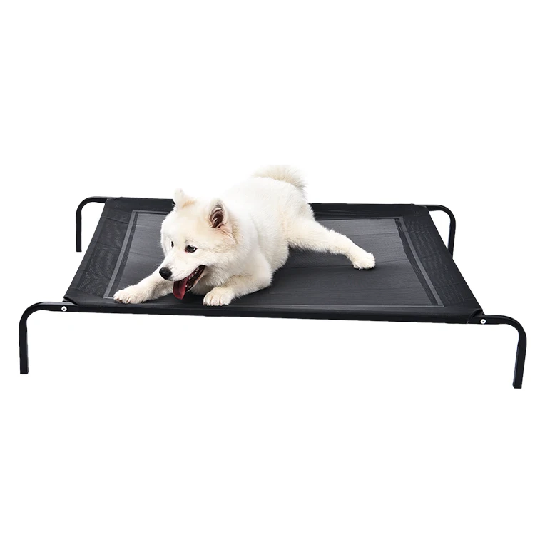 elevated bed for dogs