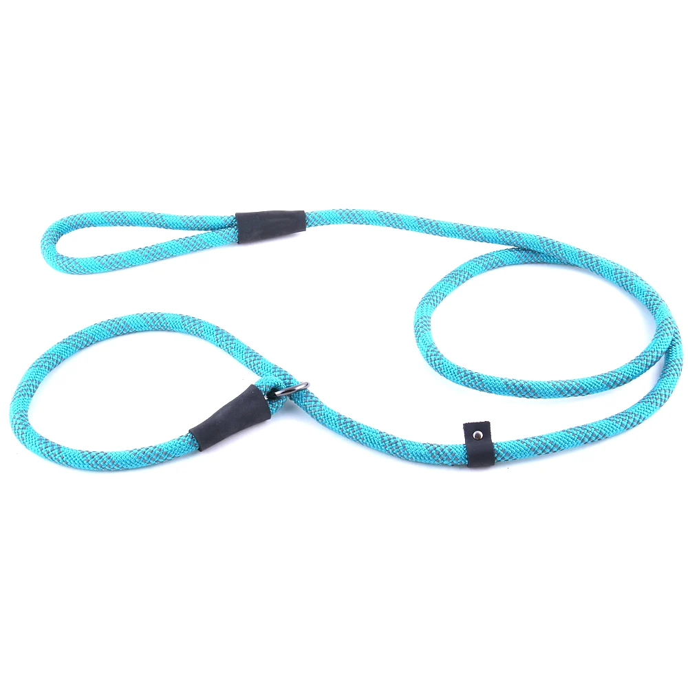 heated dog leash