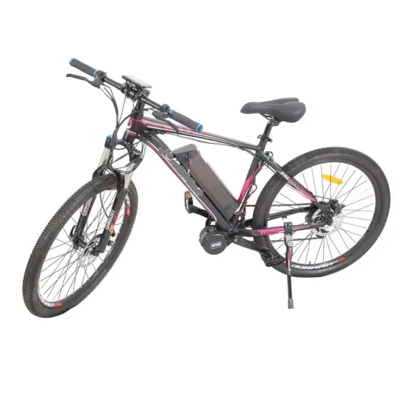 ebike motor manufacturers