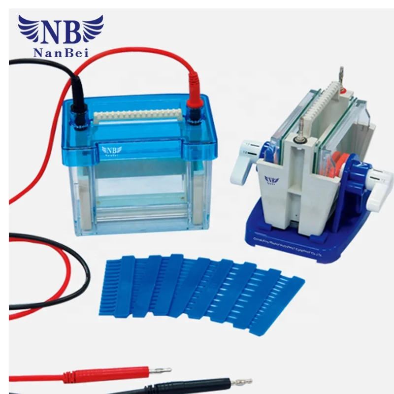 DNA Analysis Protein Electrophoresis Gel System with Factory Price