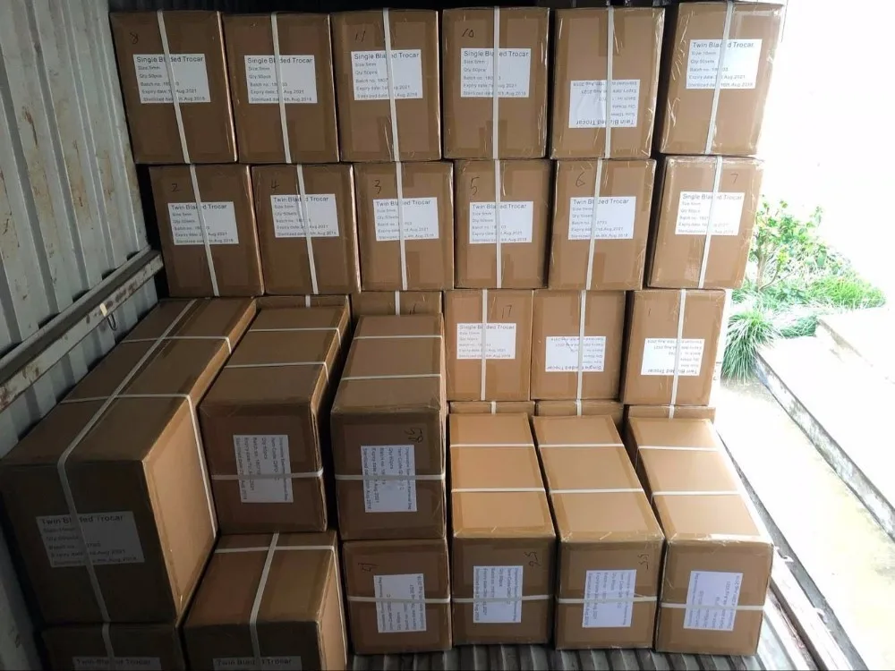 product-441-331 product-441-331