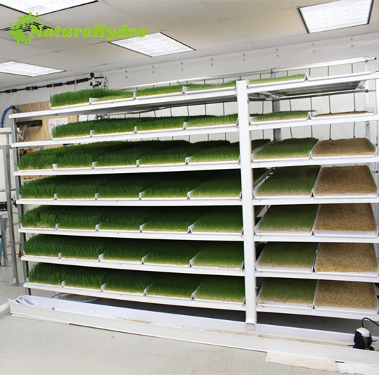Pvc Hydroponics Tray for Hydroponic Animal Fodder