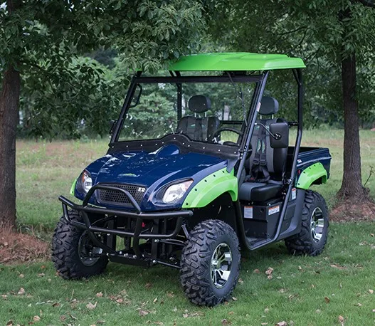 Green New Energy EEC Approved Automatic Transmission Electric UTV 4X4 Available for Sale