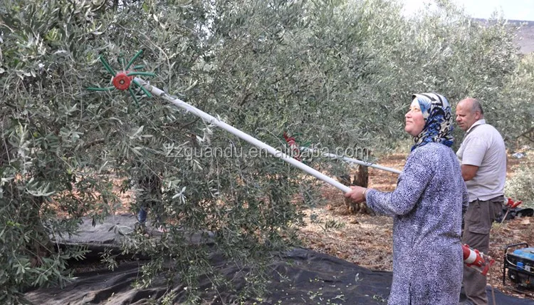 Профессиональный шейкер для оливкового дерева на продажу