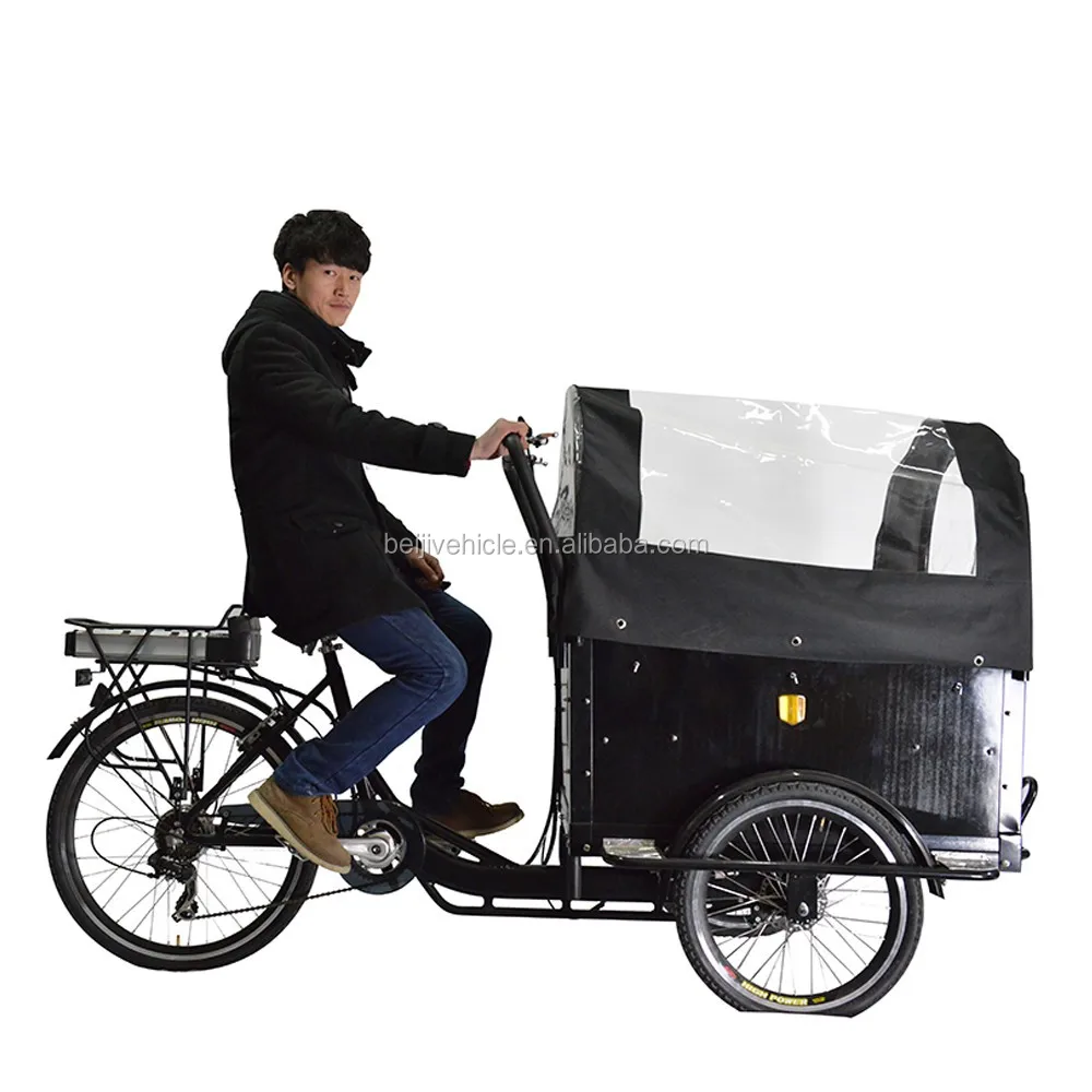 bike trailer for elderly