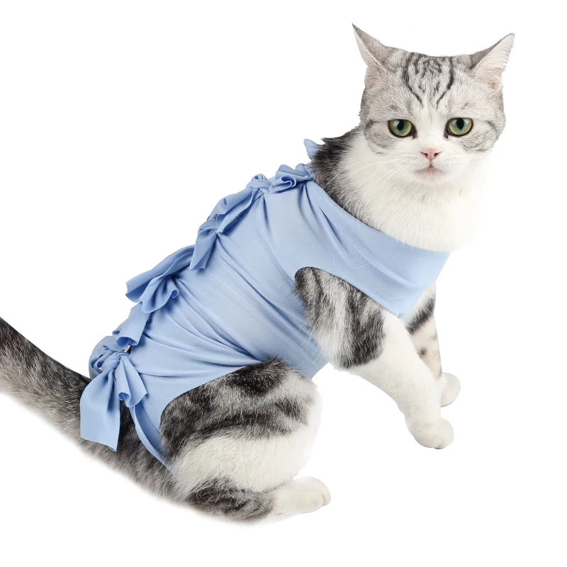 cat surgery suit
