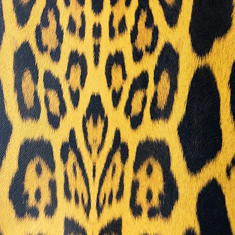 Fashionable Leopard Print Garment Leather