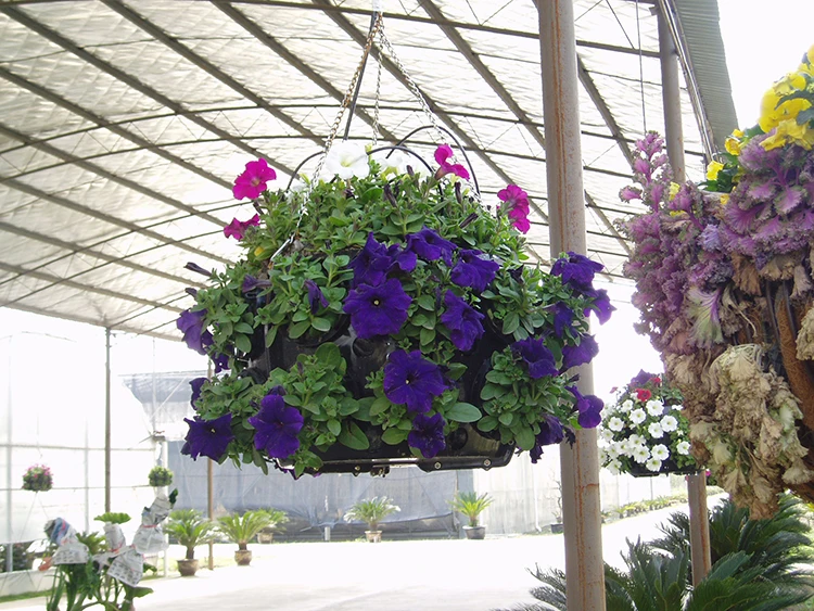 Подвесной цветочный горшок, садовые горшки для растений, подвесные садовые горшки из пластика, Китай