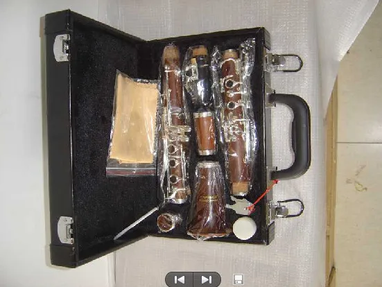 ABS Bb Clarinet, Colored Clarinet for Sale