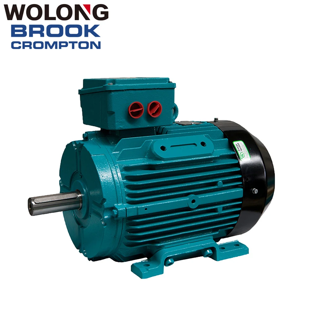 Brook We3 Ac Electric Three Phase High Efficiency Asynchronous