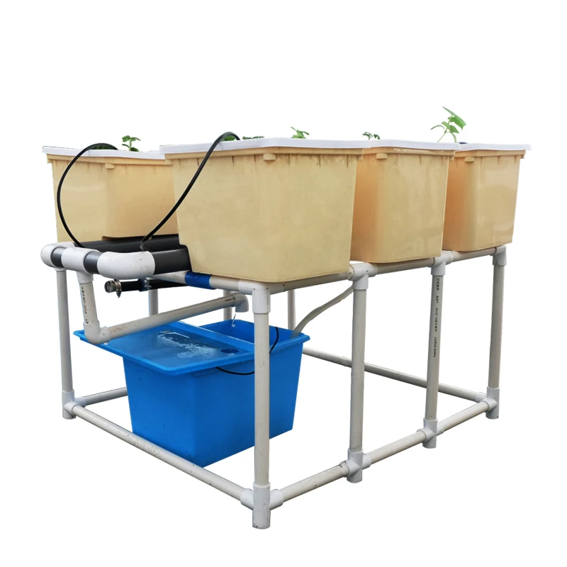 Complete Hydroponic Dutch Bucket System for Growing Vegetable in Greenhouse  Aquaponics Growing Systems