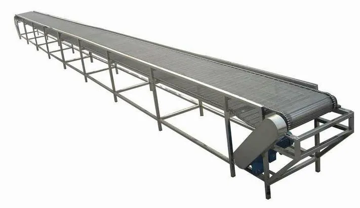 Plastic Slat Chain Conveyor and Chain Conveyor System