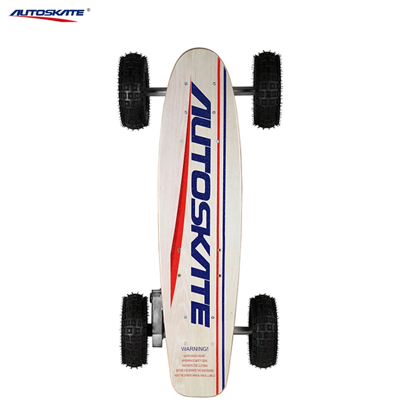 800W Electric Skateboard with Remote Control for Skateboard Enthusiasts