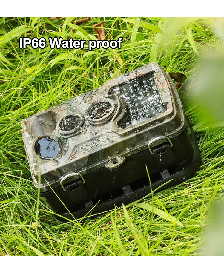 wildlife security camera