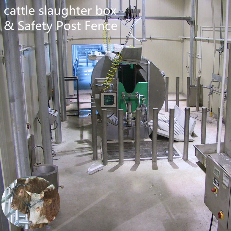 Halal Ceremony Cow Rotary Slaughter Slaughter Box for Cow Slaughterhouse